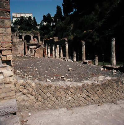 The Palestra by Roman Roman